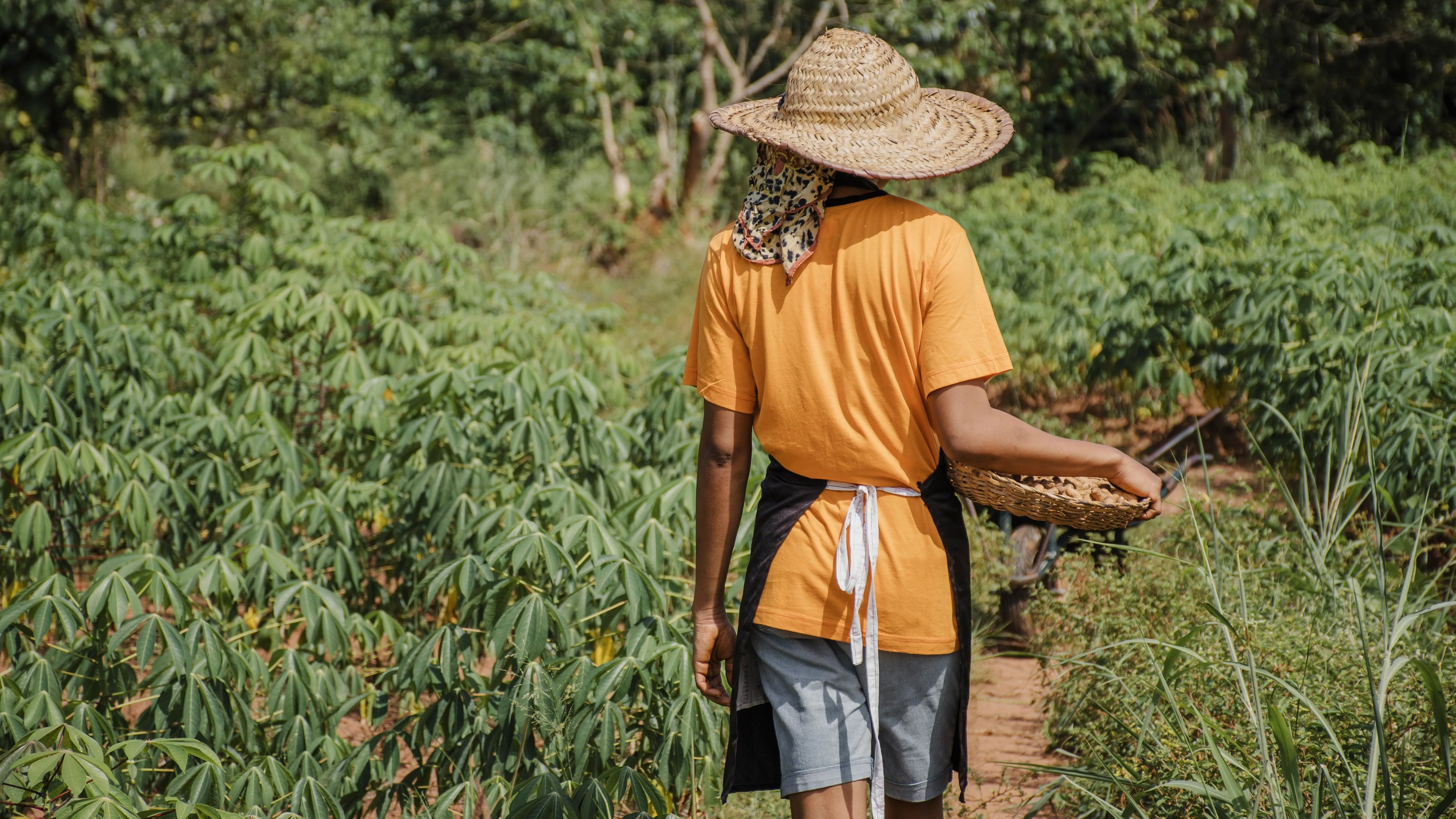 Farmers